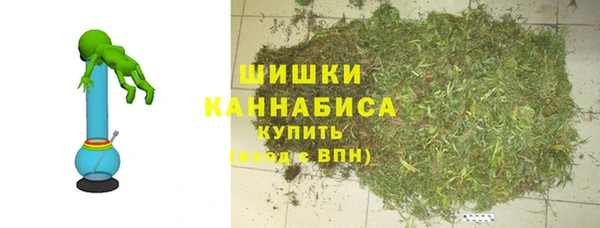 прущий лед Нея