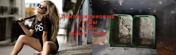 крисы Новодвинск