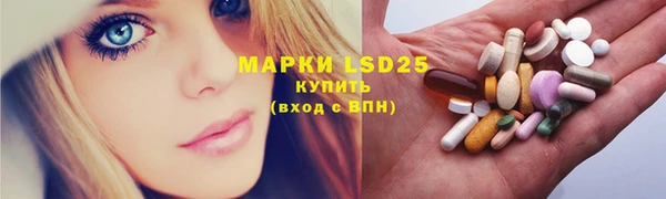 крисы Новодвинск