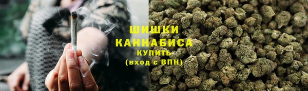 МДПВ Новозыбков