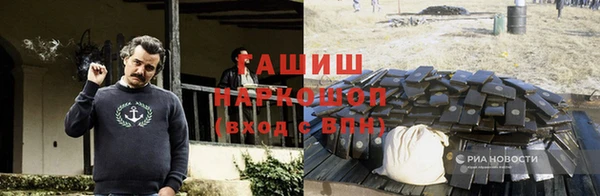 крисы Новодвинск