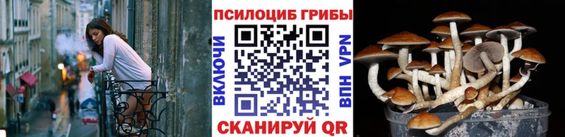 где найти   Владивосток  Галлюциногенные грибы MAGIC MUSHROOMS 