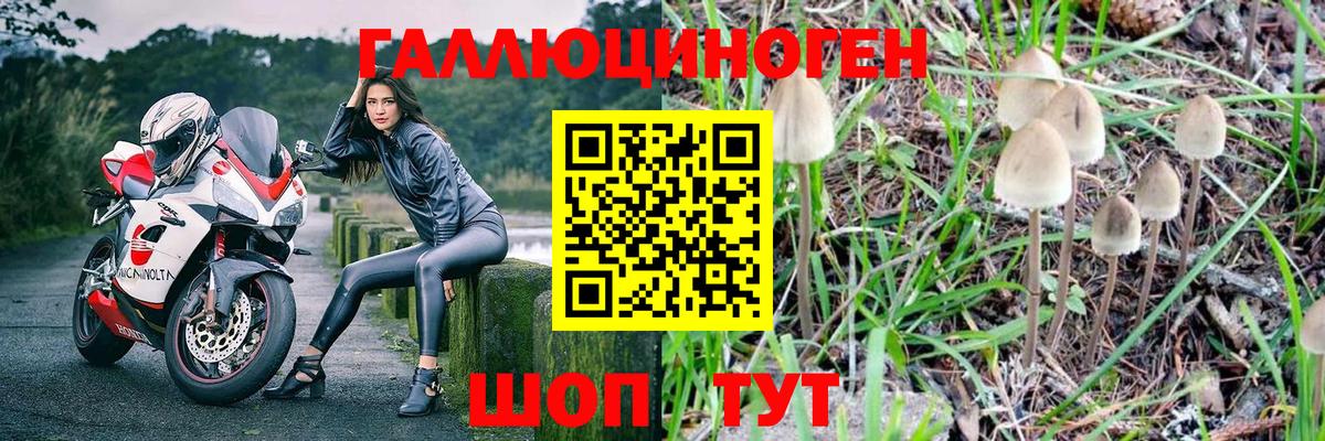 Псилоцибиновые грибы ЛСД  Вход с VPN  Галлюциногенные грибы ЛСД  Владивосток 